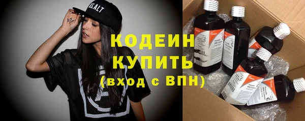 крисы Кодинск