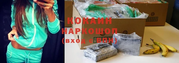 стафф Козельск