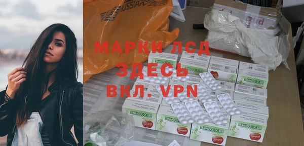 крисы Кодинск